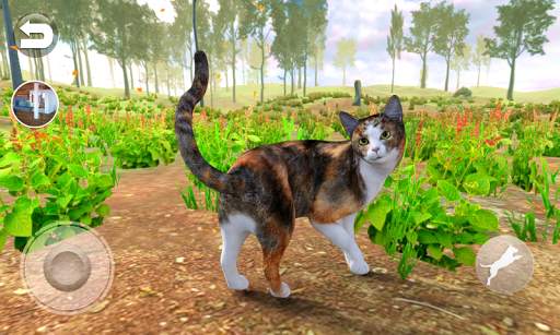 Konuşan Calico Kedisi screenshot 4