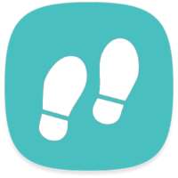 S Pedomter - Calorie Widget