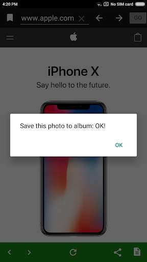 Snapshot Browser screenshot 2