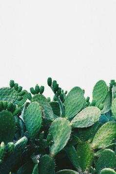 Tumblr Wallpaper screenshot 14