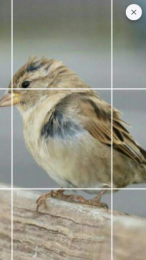 Drawing Grid 4 تصوير الشاشة