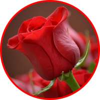 صور ورود متحركه GIF‎ on 9Apps