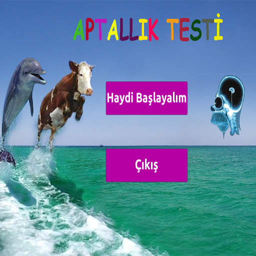 Aptallık Testi иконка