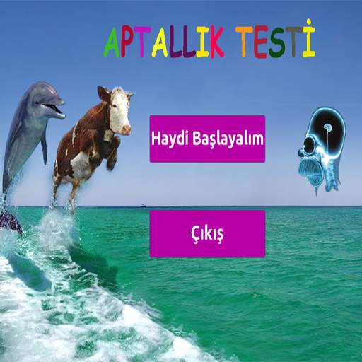 Aptallık Testi 32