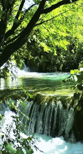 Waterfall Video Live Wallpaper screenshot 5
