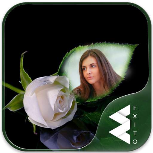 White Rose Photo Frames 1.15