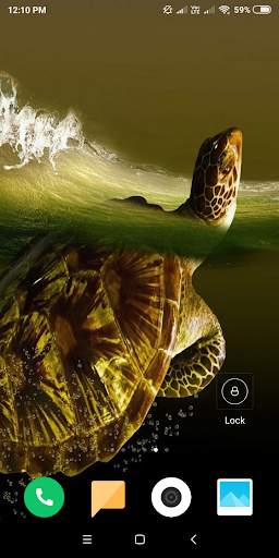 Turtle HD Wallpaper screenshot 6
