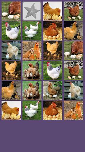 Hen Memory Game screenshot 3
