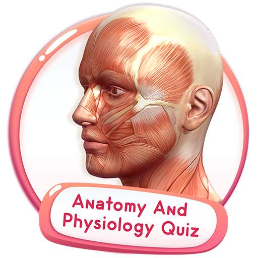 Human Anatomy And Physiology Quiz 2.0