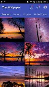 Beautiful Trees Wallpapers screenshot 7