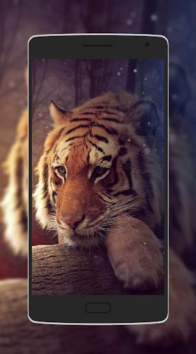 Cute Animal Wallpaper screenshot 1