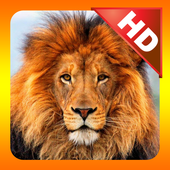 Kidzee Animals أيقونة