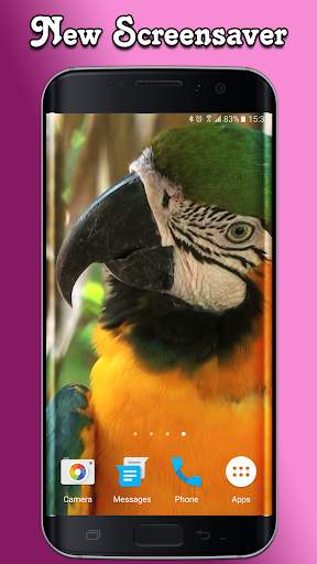 Parrot Live Wallpaper screenshot 3