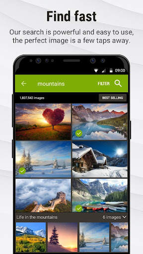 Stock Photos by Dreamstime screenshot 4