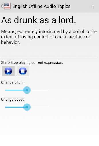अंग्रेजी Offline Audio Topics screenshot 5