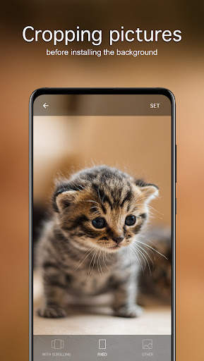 Cute Animal Wallpapers 4K screenshot 4