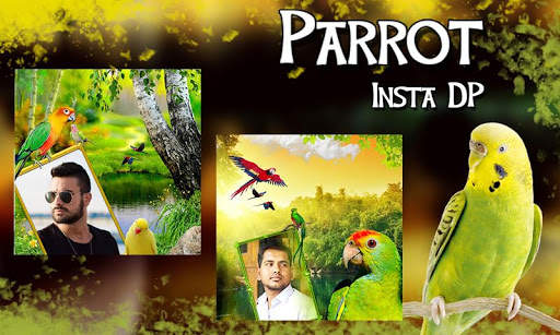 Parrot Insta DP Maker – Love Birds screenshot 2