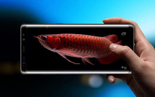 Red Arowana 3D LiveWallpaper screenshot 2