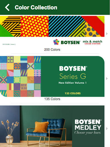 BOYSEN screenshot 7