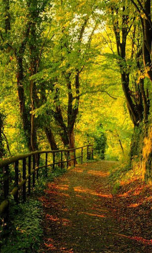 Nature Free HD Live Wallpaper screenshot 2