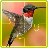 Birds Jigsaw Game 1.0