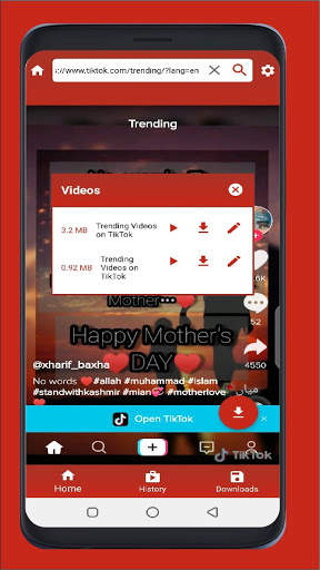 Easy Video Downloader 2021 for All Social Networks screenshot 5