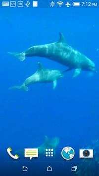 Dolphins Live Wallpaper screenshot 6