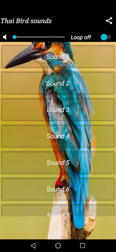 Thai Bird sounds screenshot 2