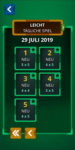 Einstein's Riddle Logik Puzzle screenshot 6