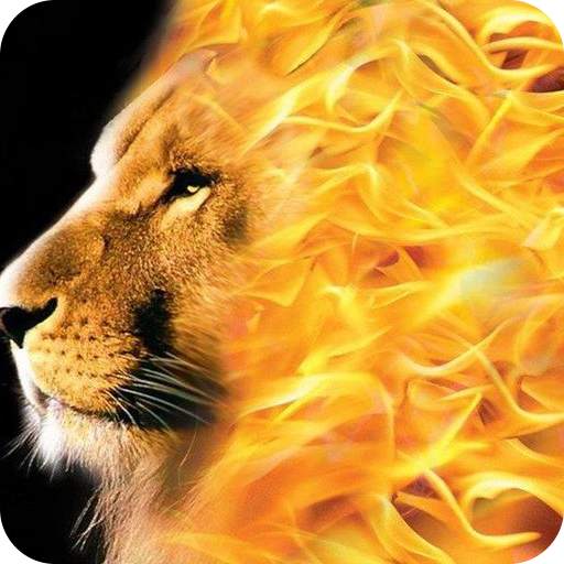 Fire Wallpaper 1.0