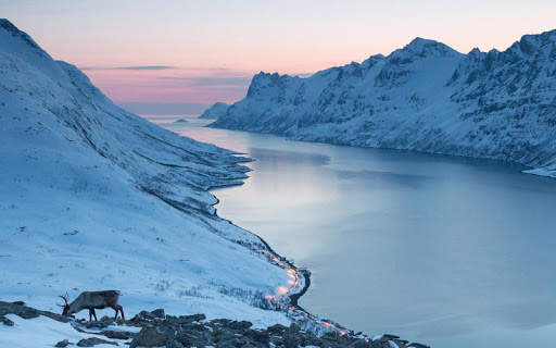 Landscape Live Wallpaper screenshot 9