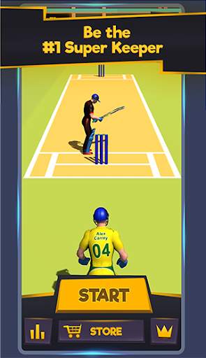 Super Keeper Cricket Challenge screenshot 15