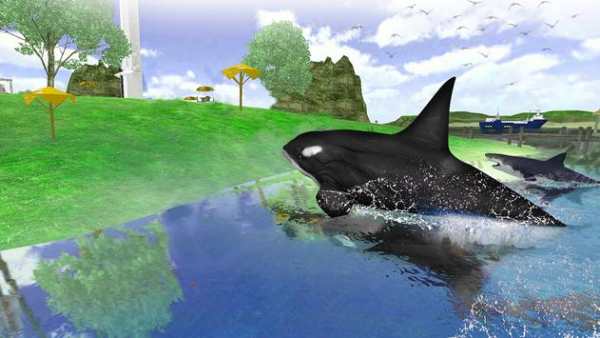 Hungry Shark Attack : Wild 2020 screenshot 3