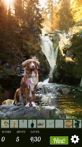 Hidden Object - Travelling Pets screenshot 5