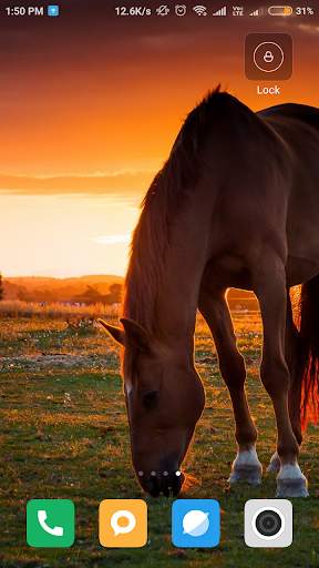 Horse Wallpaper HD screenshot 16