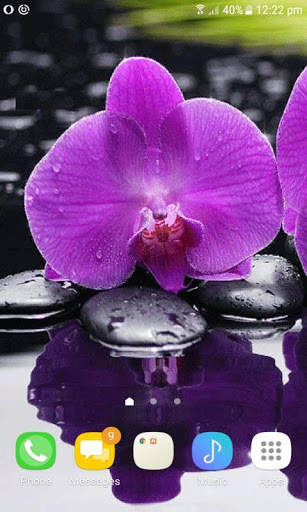 Purple Orchid Live Wallpaper screenshot 2
