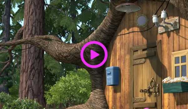 The Bear New Videos 2019 screenshot 1