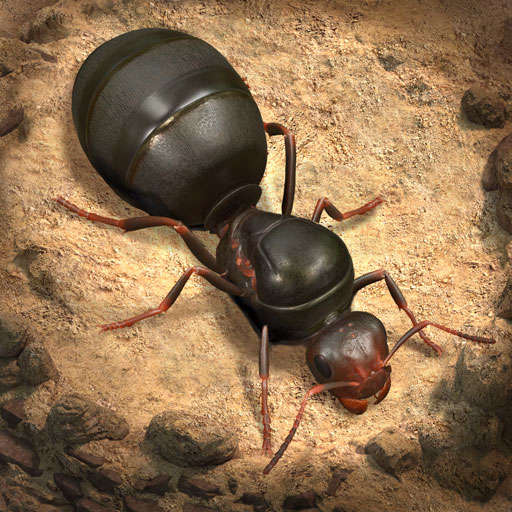 The Ants: Underground Kingdom 3.34.0