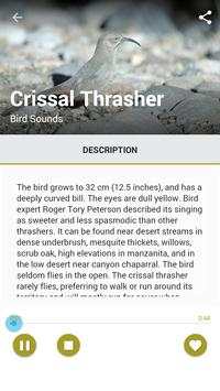 American Bird Sounds screenshot 1