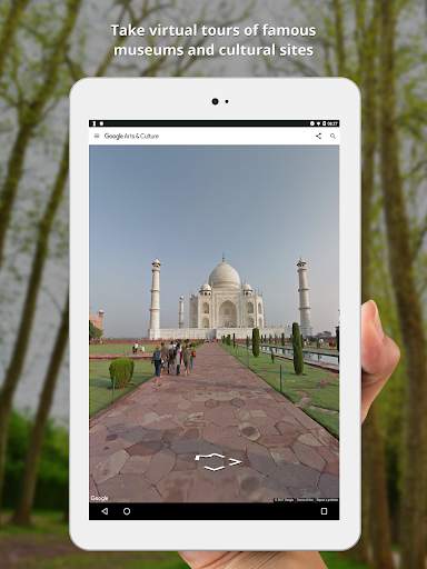 Google Arts & Culture screenshot 10