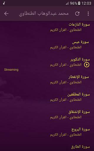 القران الكريم بصوت محمد عبدالوهاب الطنطاوي screenshot 3