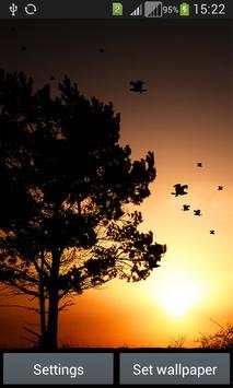 3D Birds LWP for Galaxy S6 -HD screenshot 6