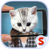 Face scanner: What cat 2 icon