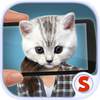 Face scanner: What cat 2 1.7