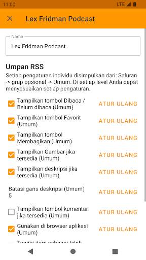 Pembaca RSS Offline screenshot 3