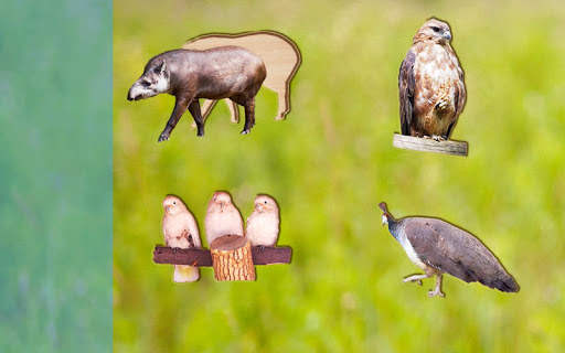 Puzzle Game for Kids Animals and Birds, Full Game screenshot 8