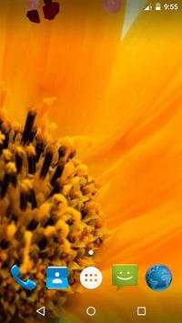 Magic Touch - Sunflower LWP screenshot 1