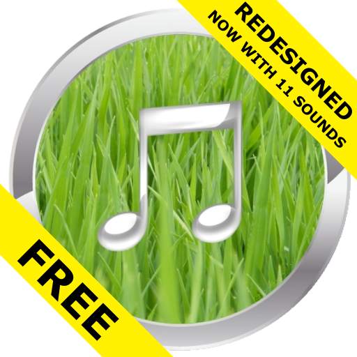 Nature Sounds Free 3.1.1