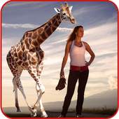 Wildlife Photography Editor 1.0