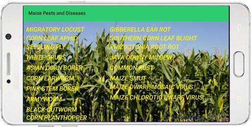 Maize Pests and Diseases screenshot 2